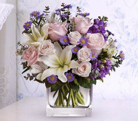 Picture for category Bestsellers